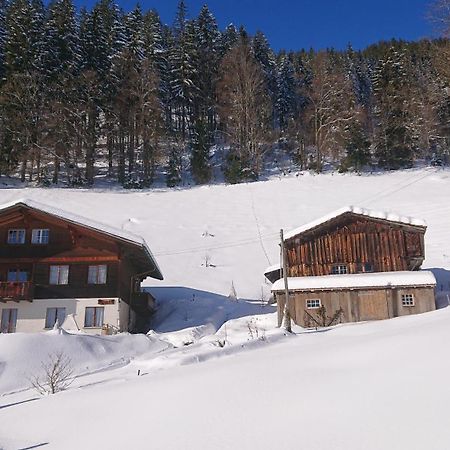 Känzeli - Ferienwohnung mit Traumaussicht Beatenberg Exterior foto